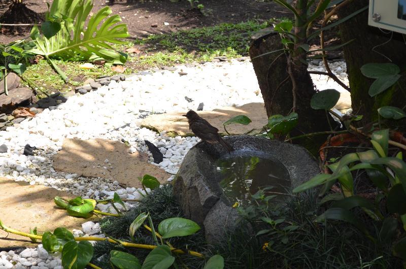 Hotel Aromax Del Campestre Medellín Kültér fotó